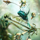 Image for article titled Intense graphic novel about insects is like Dr. Seuss meets Darwin